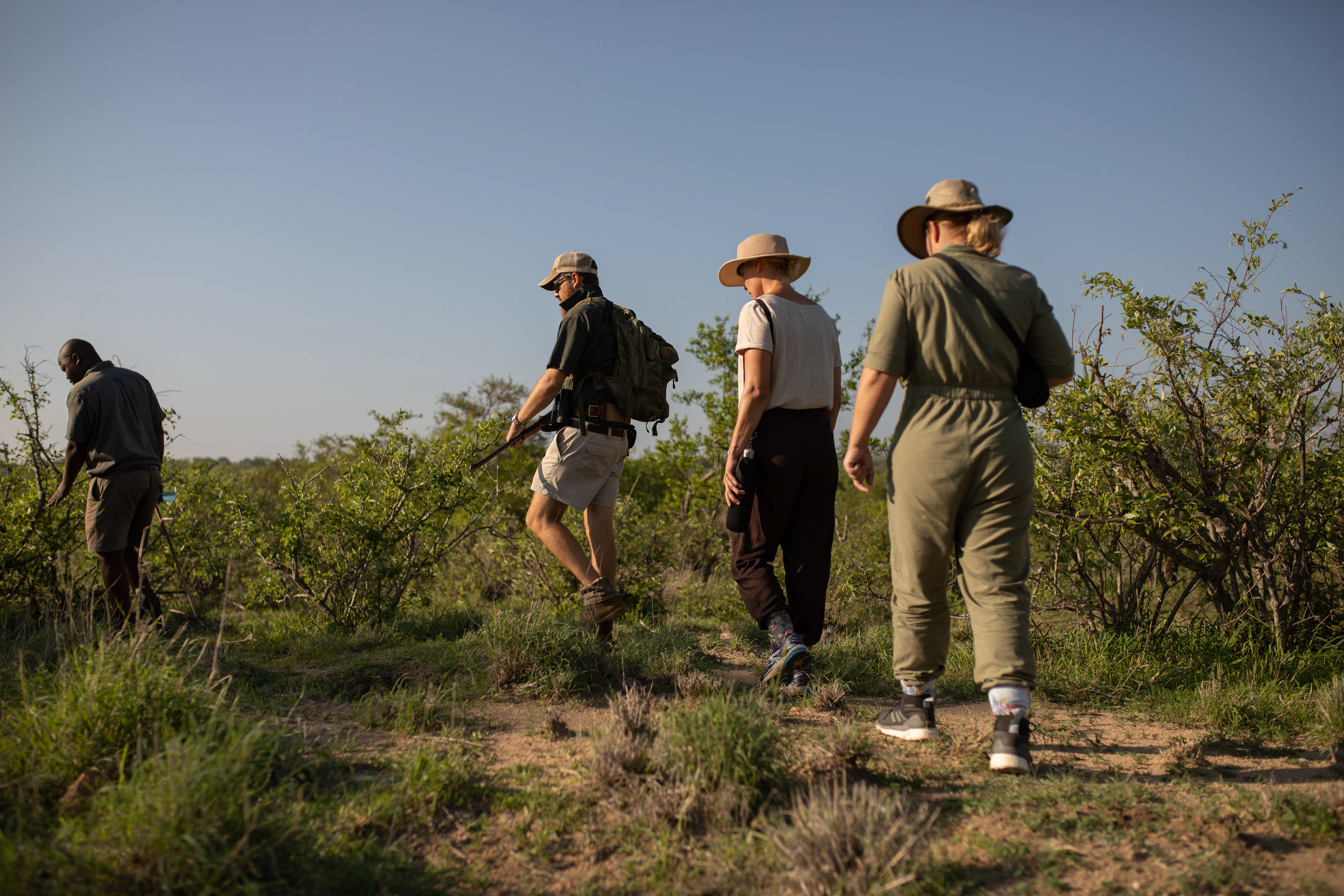 Bateleur Safari Camp thumbnail 7